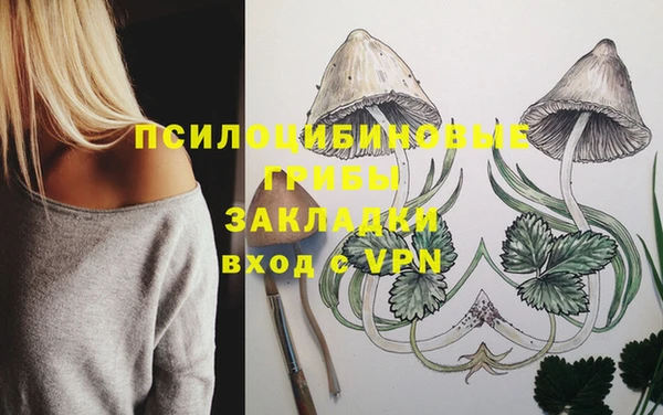 мяу мяу мука Арсеньев