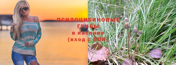 мяу мяу мука Арсеньев