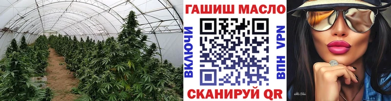 цена   Рудня  МЕГА вход  Дистиллят ТГК вейп 