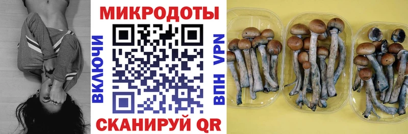Галлюциногенные грибы ЛСД  ссылка на мегу ONION  Рудня 