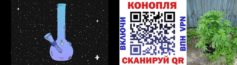 как найти Рудня Канабис Amnesia